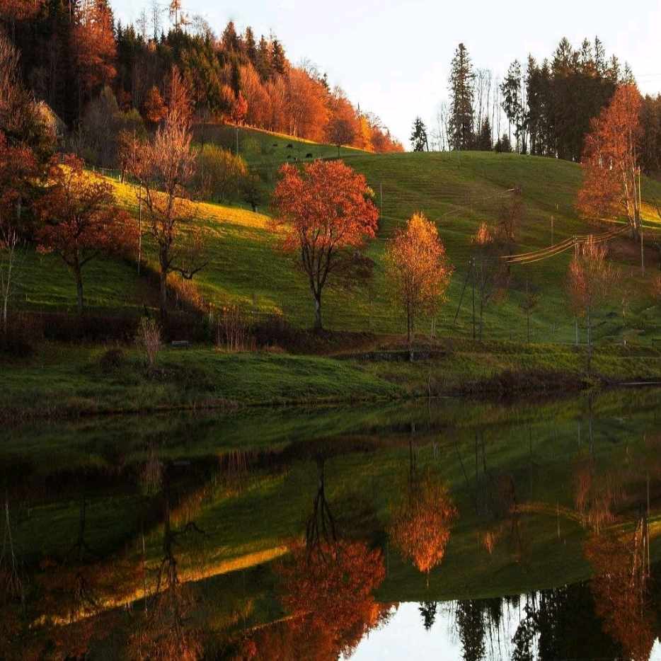آهنگ جدید Remzi Selderi Fakiro